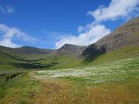 Skarðsádalur_Insel Vágar